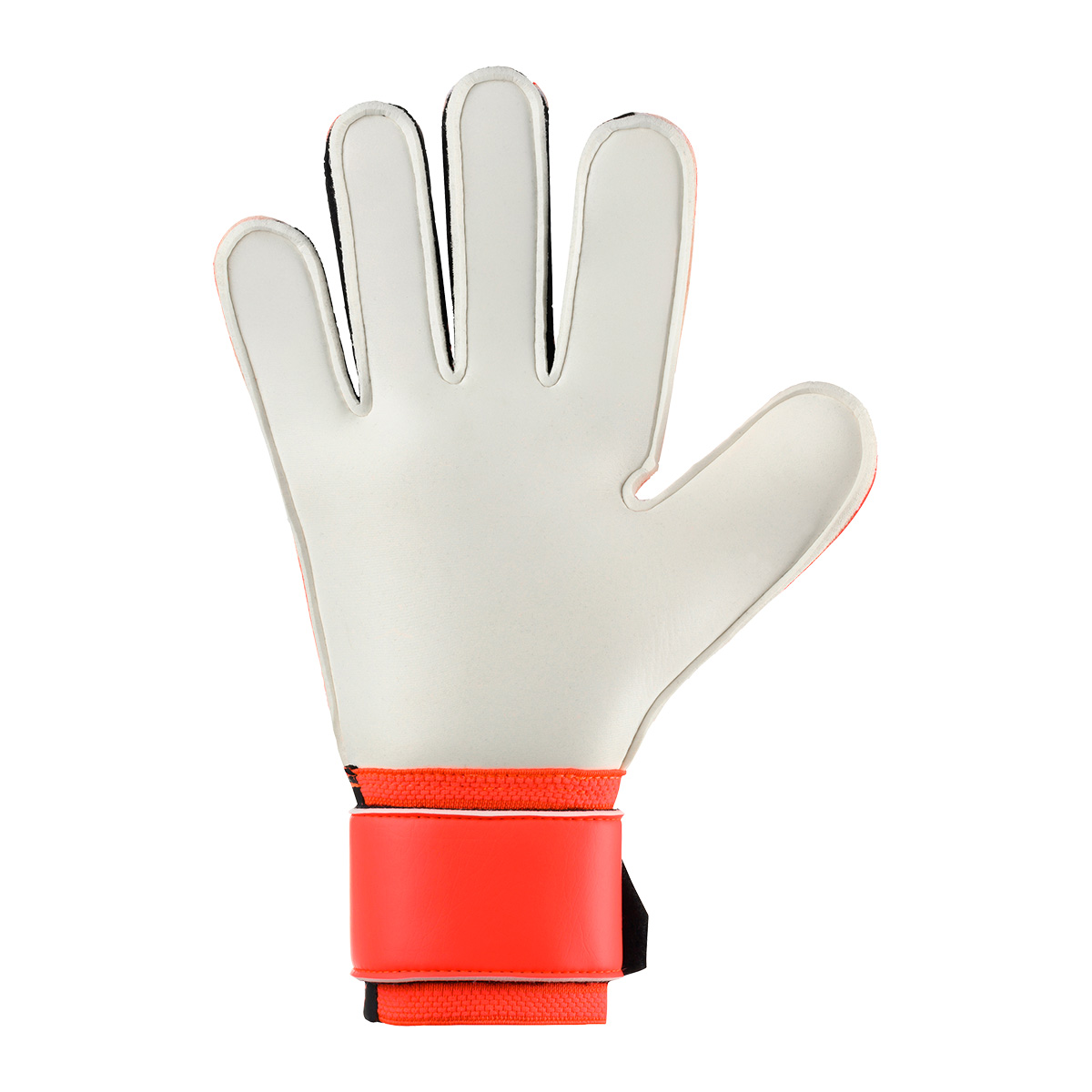 FM ZNE Soft Pro