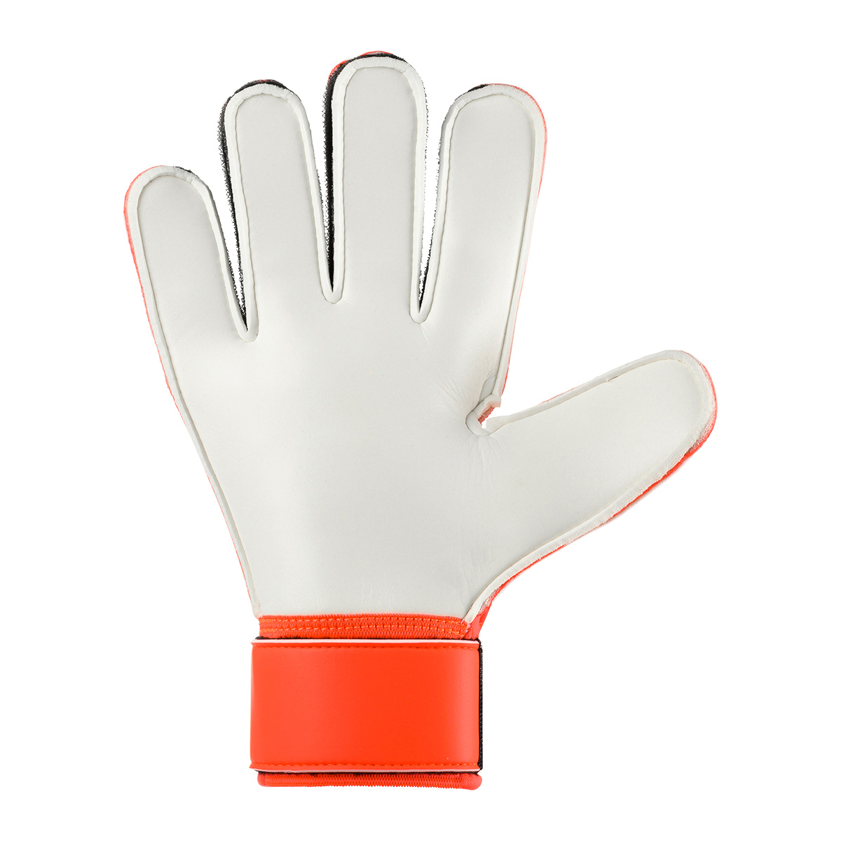 FM ZNE Starter Soft