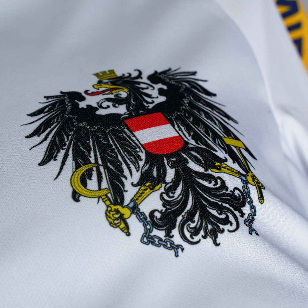 detail.productImageAltText