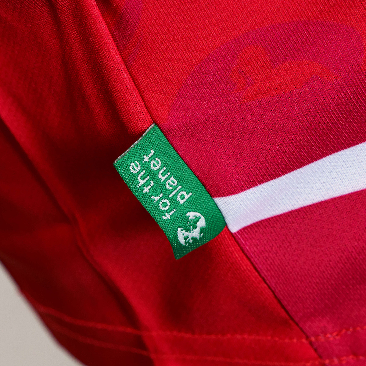 detail.productImageAltText