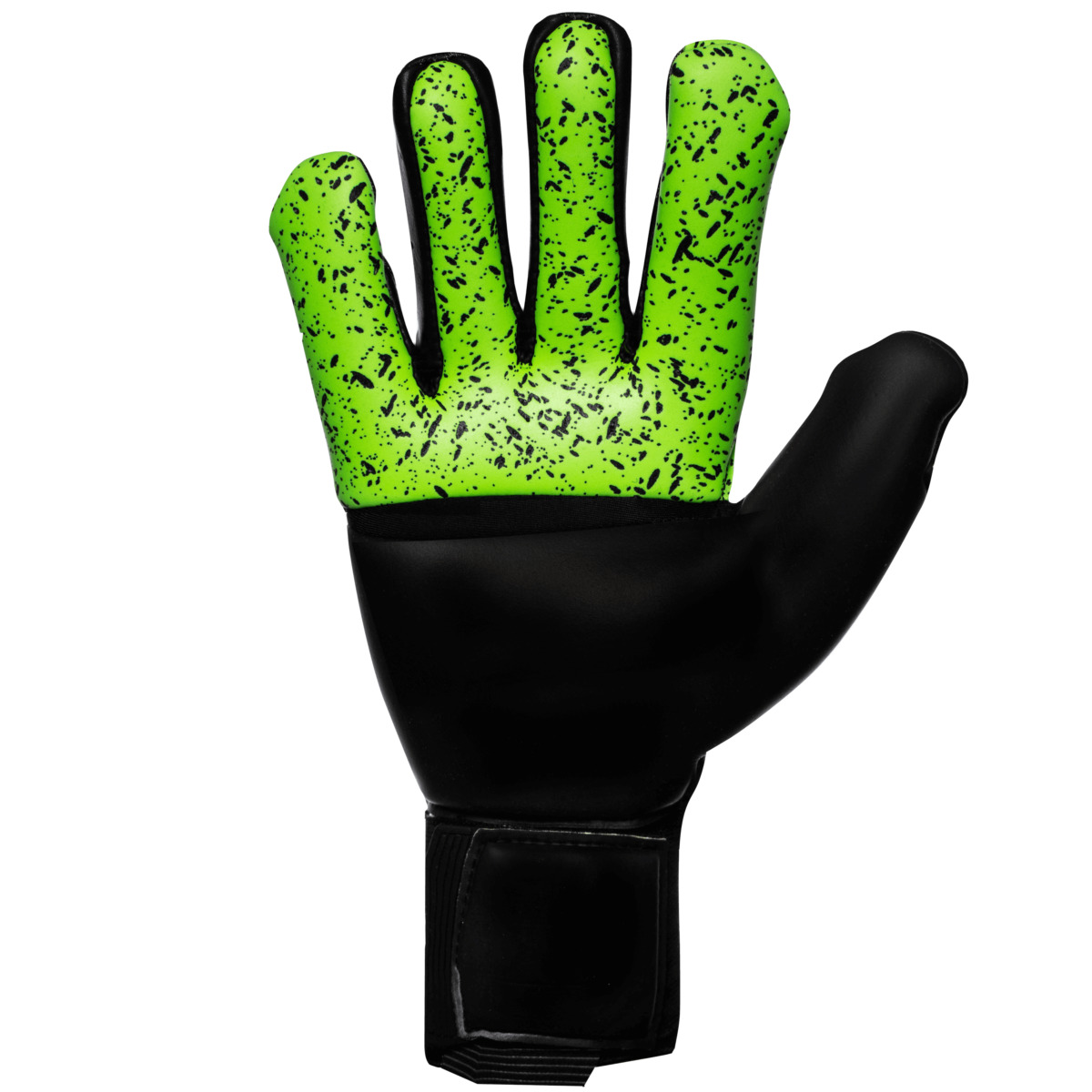 101128601_palm_png4qgz0wGaFdV4g detail.productImageAltText