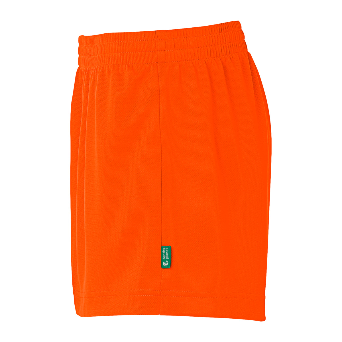 detail.productImageAltText