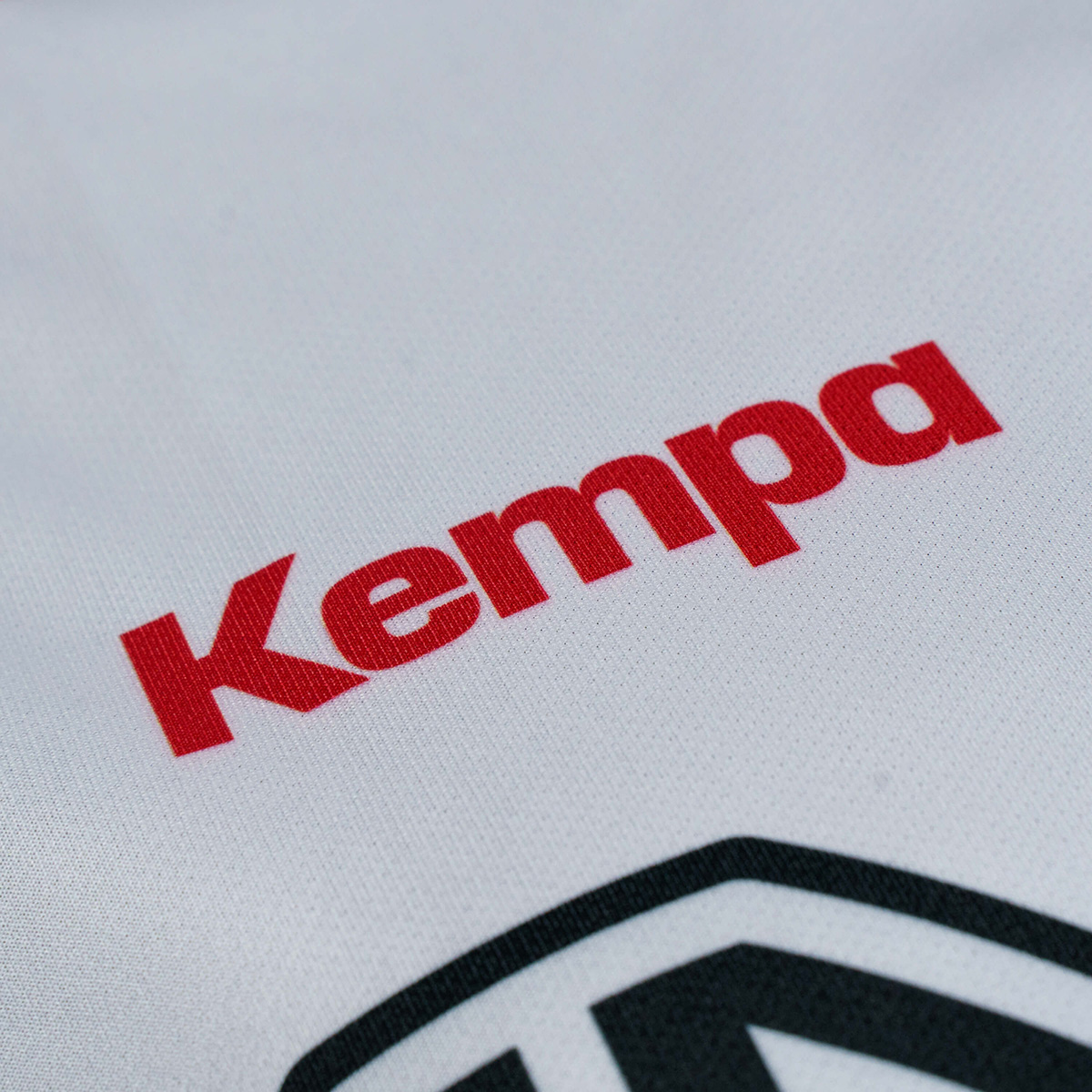 detail.productImageAltText