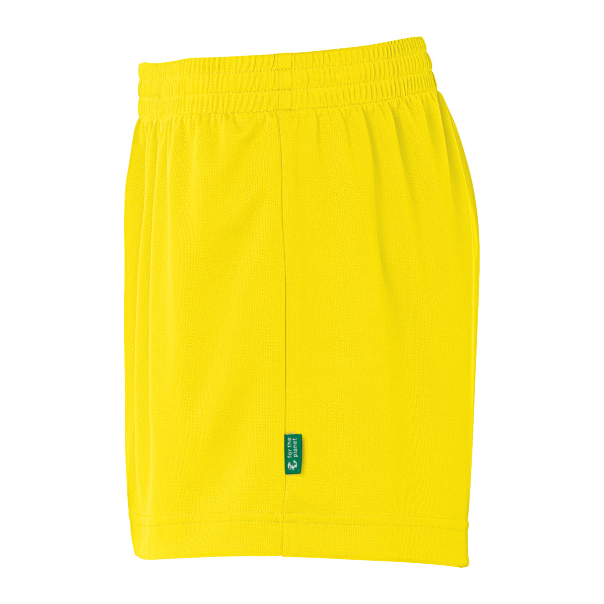 detail.productImageAltText