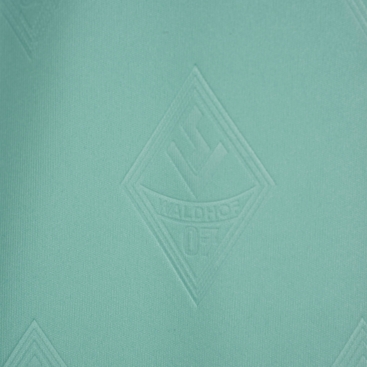 SVW Ausweichtrikot 2023 24 Wasserzeichen SVW Wappen