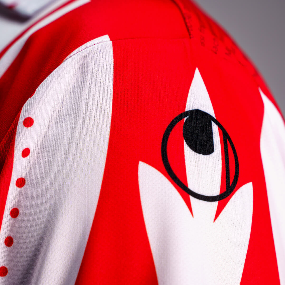 1002251011999_1002251021999_BBB_Trikot_CloseUp_03 Produktbild 11