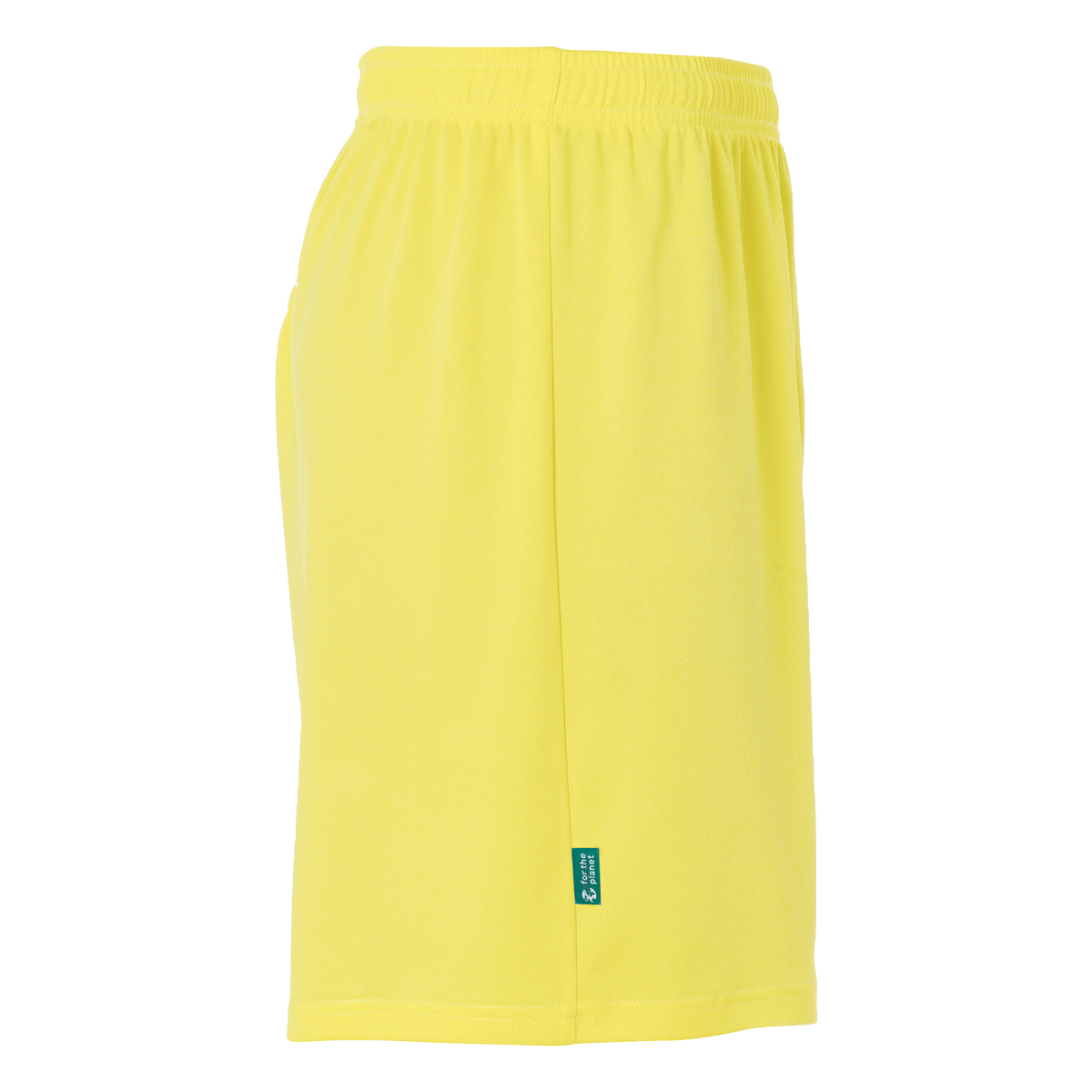 detail.productImageAltText