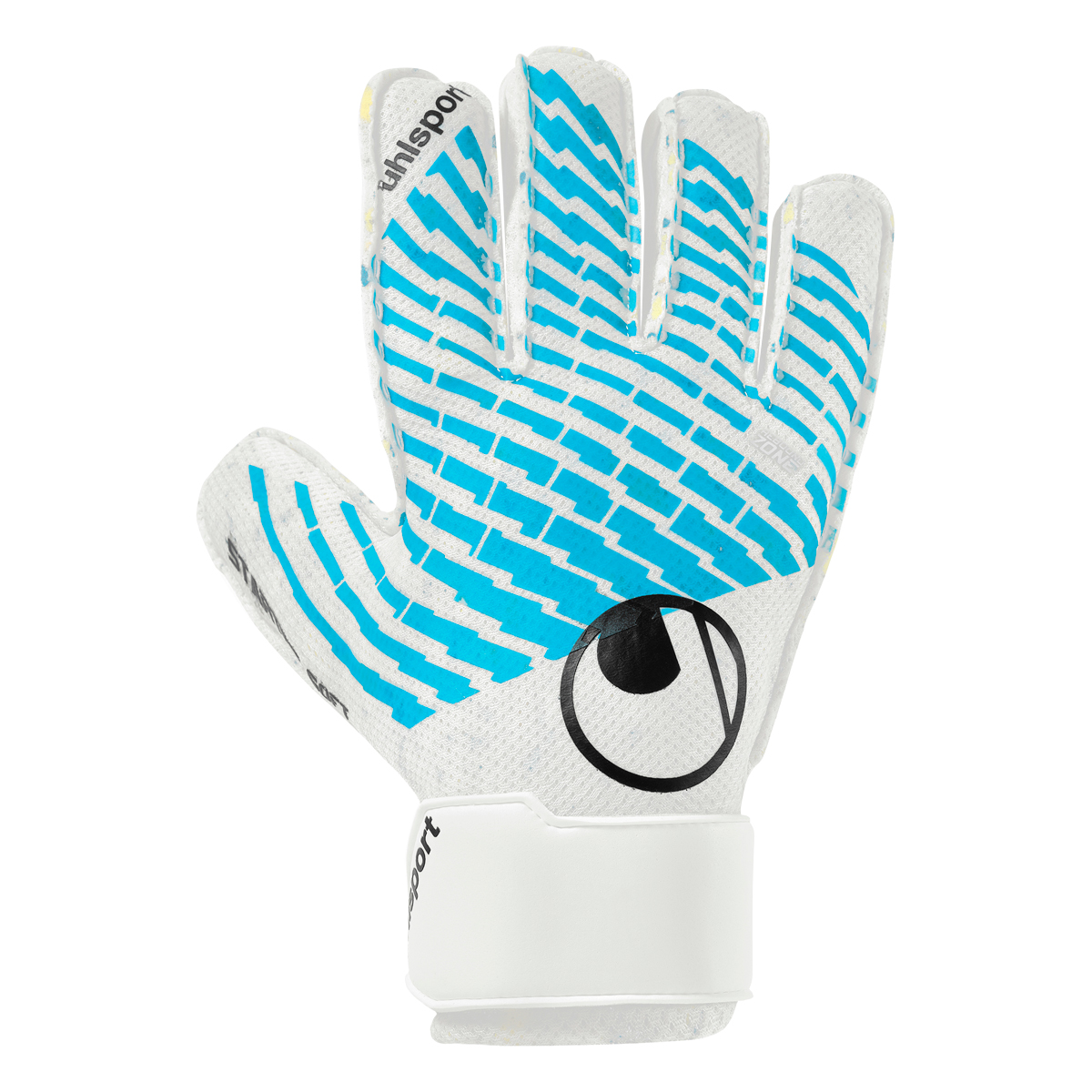 FM Cybertec Starter Soft