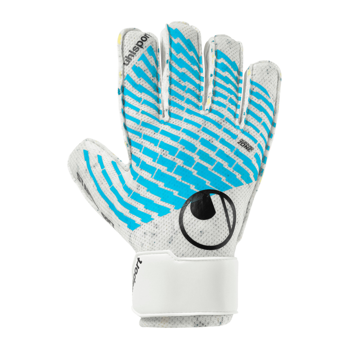 FM Cybertec Starter Soft
