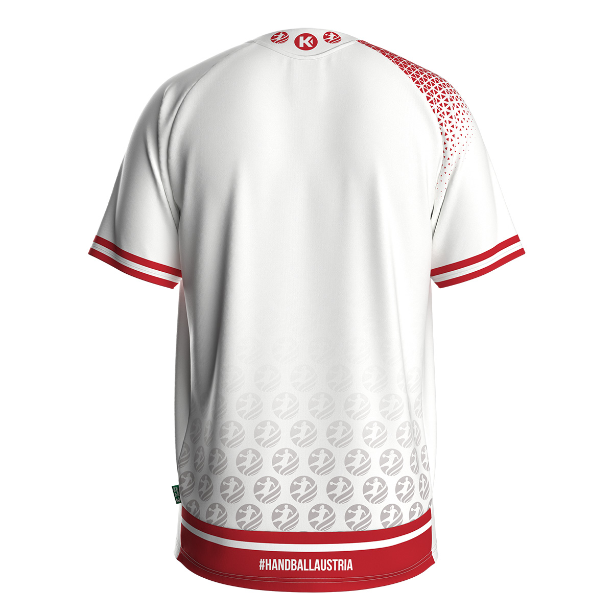 detail.productImageAltText