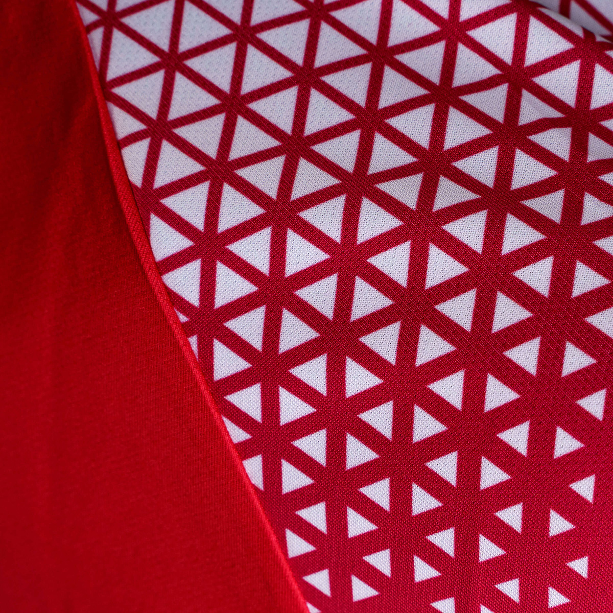 detail.productImageAltText